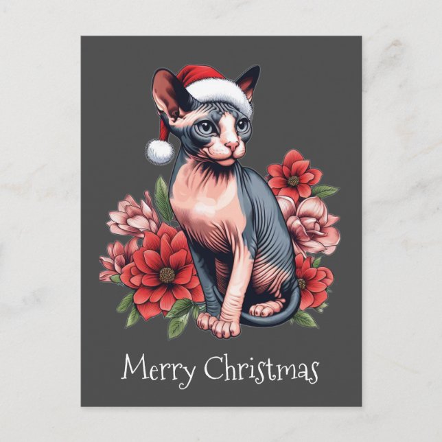 Tarjeta de navidad | Gato Sphynx con sombrero Sant (Anverso)