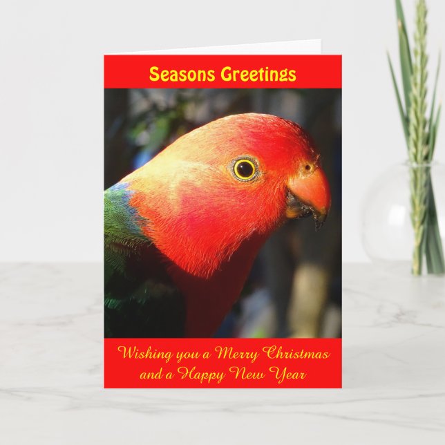 Tarjeta de navidad King Parrot (Anverso)