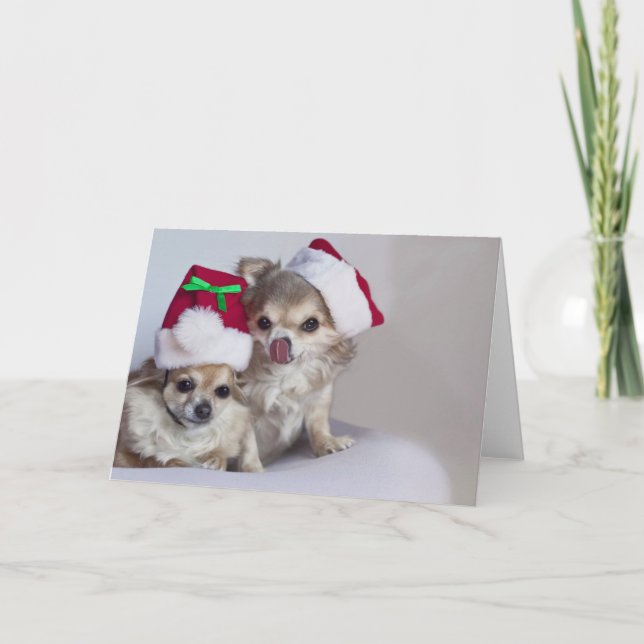 Tarjeta de Navidad linda de las chihuahuas (Anverso)