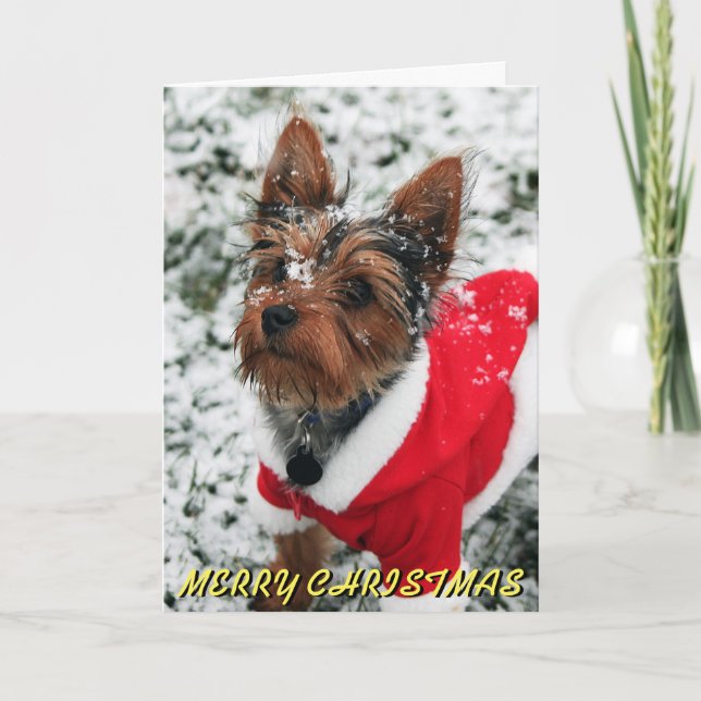 Tarjeta de Navidad linda de Yorkie (Anverso)