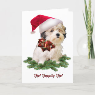 Tarjeta de Navidad maltesa del tema