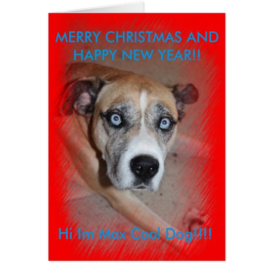 Tarjeta de Navidad máxima del perro casero