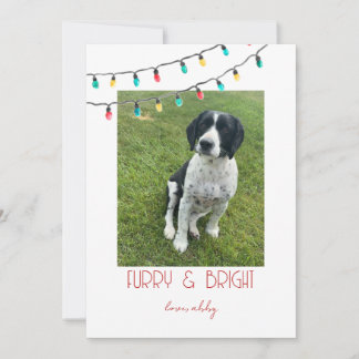 Tarjeta de Navidad Minimalista para Mascotas - Pel