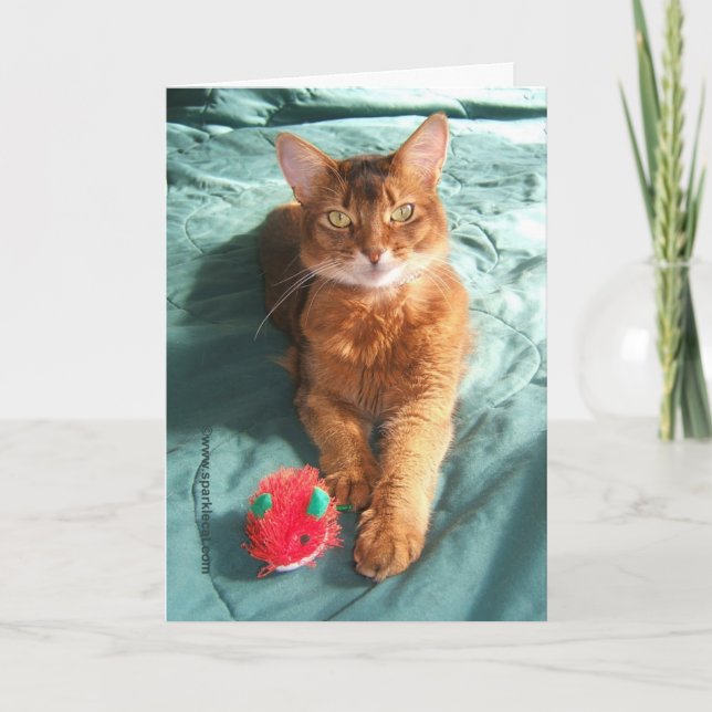 Tarjeta de Navidad Mousey de Catmas (Anverso)