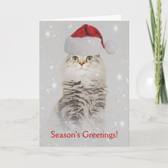 Tarjeta de Navidad noruega del gato del bosque (Anverso)