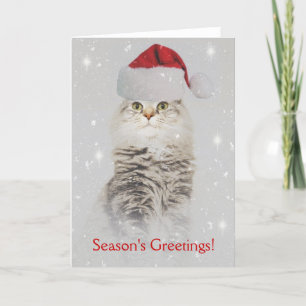 Tarjeta de Navidad noruega del gato del bosque
