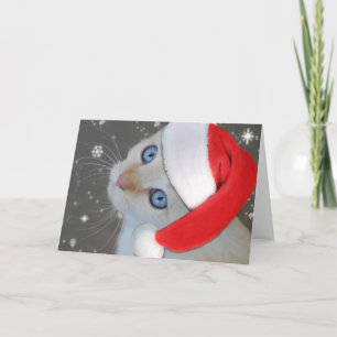 Tarjeta de Navidad observada azul del gatito