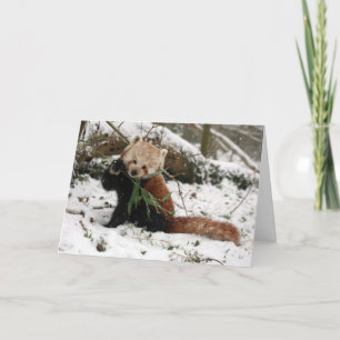 Tarjeta de Navidad - panda roja 5