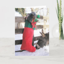 Tarjeta de Navidad "¿Para mí?"