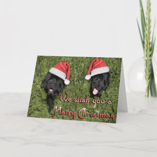 Tarjeta de Navidad peluda de Notta Bear (Anverso)