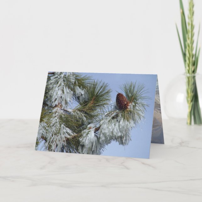 Tarjeta de Navidad - Pinecone (Anverso)