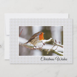 Tarjeta de Navidad plana del petirrojo del