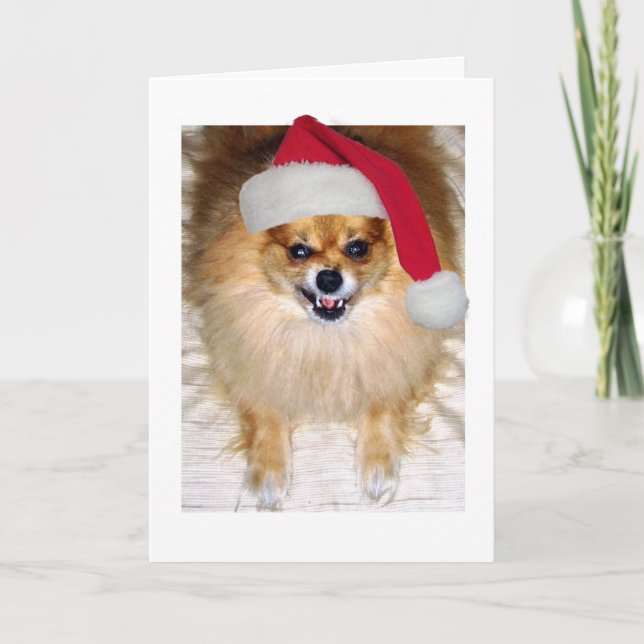 Tarjeta de navidad | Pomerania Santa Dog (Anverso)