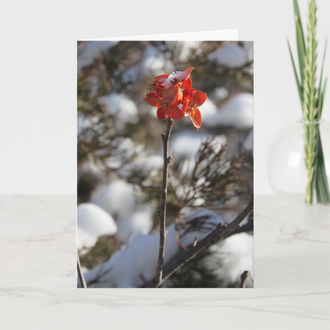 Tarjeta de Navidad "Prairie Blossom" (Anverso)