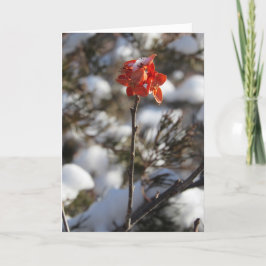 Tarjeta de Navidad "Prairie Blossom"