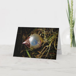 Tarjeta de Navidad "Prairie Cheer"