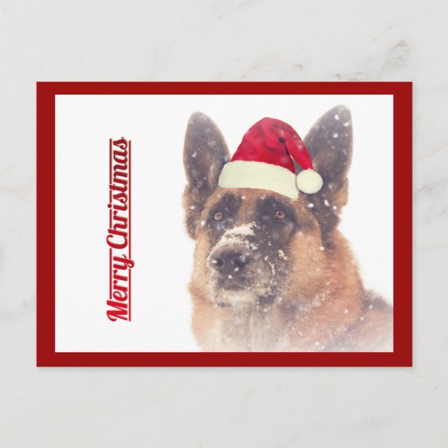 Tarjeta de Navidad Preciosa del Pastor Alemán (Anverso)