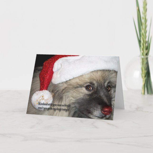 Tarjeta de Navidad roja del Keeshond de la nariz (Anverso)