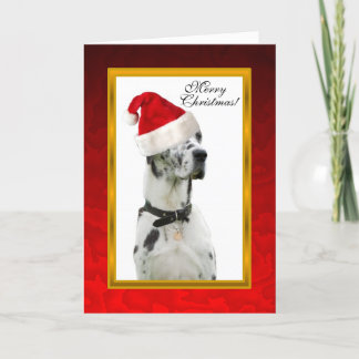 Tarjeta de Navidad roja del perro de Dalmation