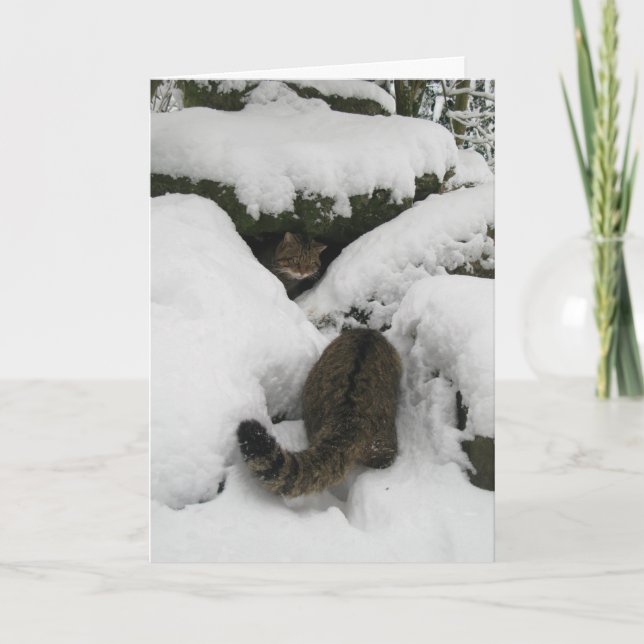 Tarjeta de navidad - Sangre escocesa 7 (Anverso)