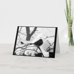 Tarjeta de Navidad serena del Snowbird