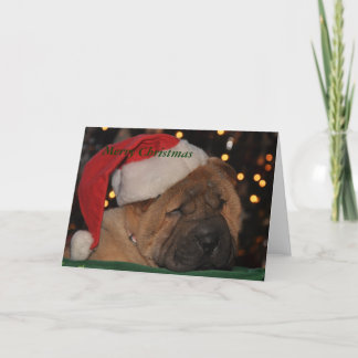 Tarjeta de Navidad soñolienta del perrito
