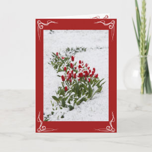 Tarjeta de navidad - Tarjeta de felicitación de va