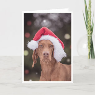 Tarjeta de navidad / Tarjeta de Navidad "Magyar Vi