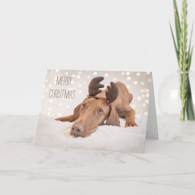 Tarjeta de navidad / Tarjeta de Navidad "Magyar Vi (Anverso)