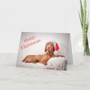 Tarjeta de navidad / Tarjeta de Navidad "Magyar Vi