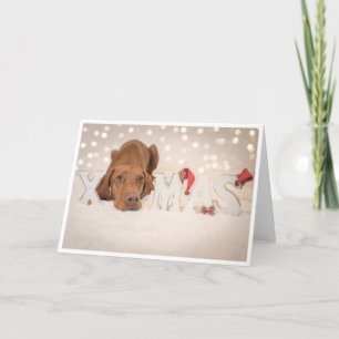 Tarjeta de navidad / Tarjeta de Navidad "Magyar Vi