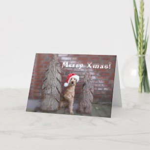 Tarjeta de navidad “Terrier Irlandesa "