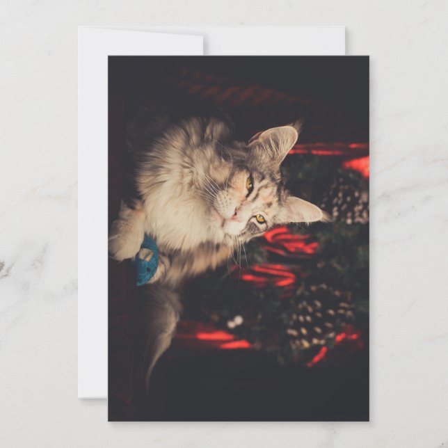 Tarjeta de navidad Titiyo V3 (Anverso)