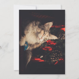 Tarjeta de navidad Titiyo V3