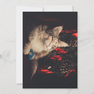 Tarjeta de navidad Titiyo V3