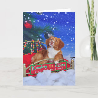 Tarjeta de Navidad tocante del perro perdiguero