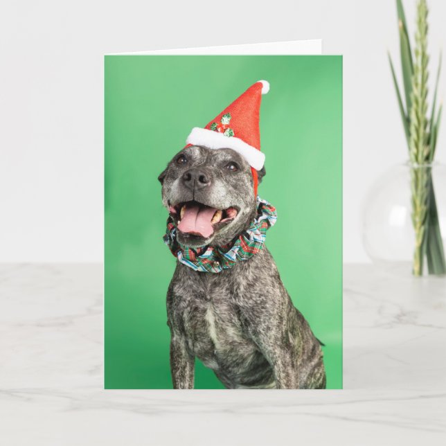 tarjeta de navidades (Anverso)