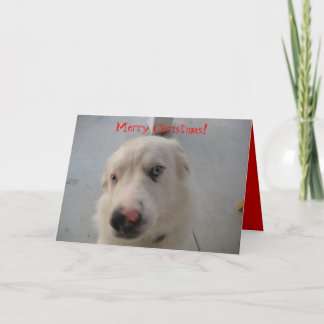 Tarjeta de navidades 07