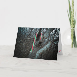 Tarjeta de Navidades "Alimagnet Candy Cane"
