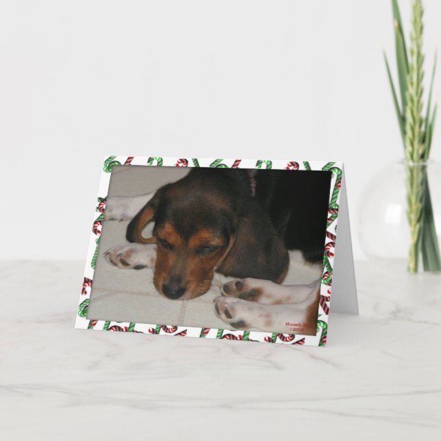 Tarjeta de Navidades Beagle (Sleepy) (Anverso)