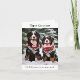 Tarjeta de Navidades Bernese Mountain Dogs