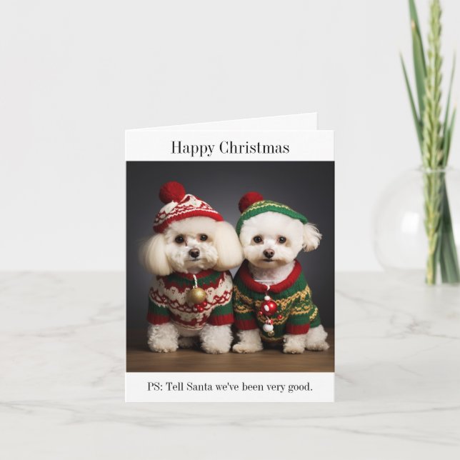 Tarjeta de Navidades Bichon Frise Dogs (Anverso)