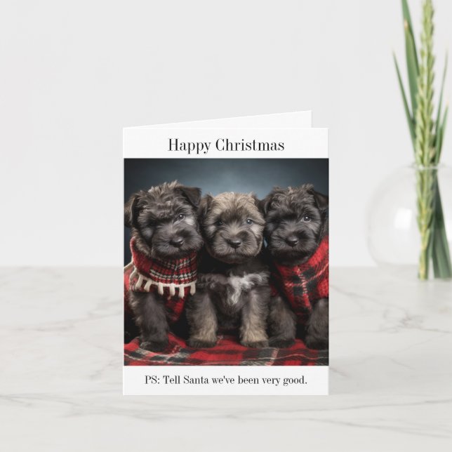 Tarjeta de Navidades Bouvier des Flandres Puppies (Anverso)