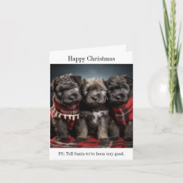 Tarjeta de Navidades Bouvier des Flandres Puppies