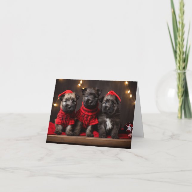 Tarjeta de Navidades Bouvier des Flandres Puppies (Anverso)