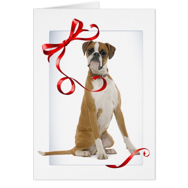 Tarjeta de Navidades Boxer (Frente)
