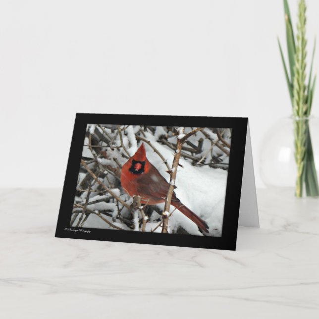 Tarjeta de Navidades cardinales (Anverso)