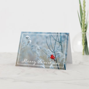 Tarjeta de Navidades cardinales de invierno