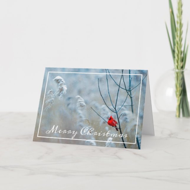 Tarjeta de Navidades cardinales de invierno (Anverso)