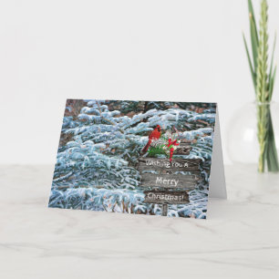 Tarjeta de Navidades cardinales de nieve de pinos